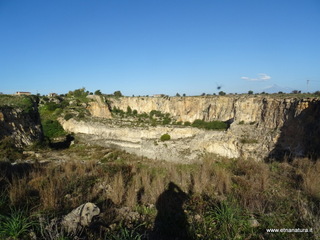 traro-30-12-2021 10-37-35